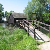 VLASTIVEDNÉ MÚZEUM V GALANTE - MÚZEUM ROKA 2014: Vodný kolový mlyn Tomášikovo