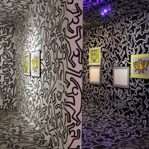 MÚZEUM MODERNÉHO UMENIA ANDYHO WARHOLA: Výstava Keitha Haringa