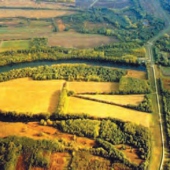 Nitra Region: Národná prírodná rezervácia v Číčove