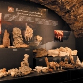 Expozícia v SMOPaJ - Jaskyniarstvo Expozícia v SMOPaJ - Jaskyniarstvo