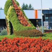 MESTO PARTIZÁNSKE: Charakteristickým symbolom mesta, niekdajšej obuvníckej metropoly Slovenska, je dvojmetrová kvetinová lodička