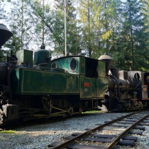 HISTORICKÁ LESNÁ ÚVRAŤOVÁ ŽELEZNICA: Parné lokomotívy pred železničným depom