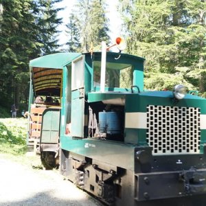 HISTORICKÁ LESNÁ ÚVRAŤOVÁ ŽELEZNICA: Dieselová lokomotíva počas jazdy